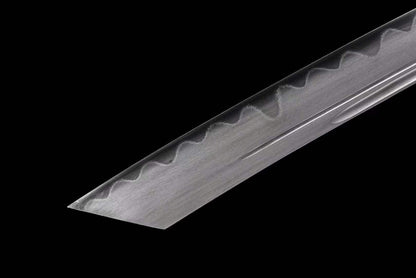 Red Fishskin Wootz steel Kangxi Great Sword